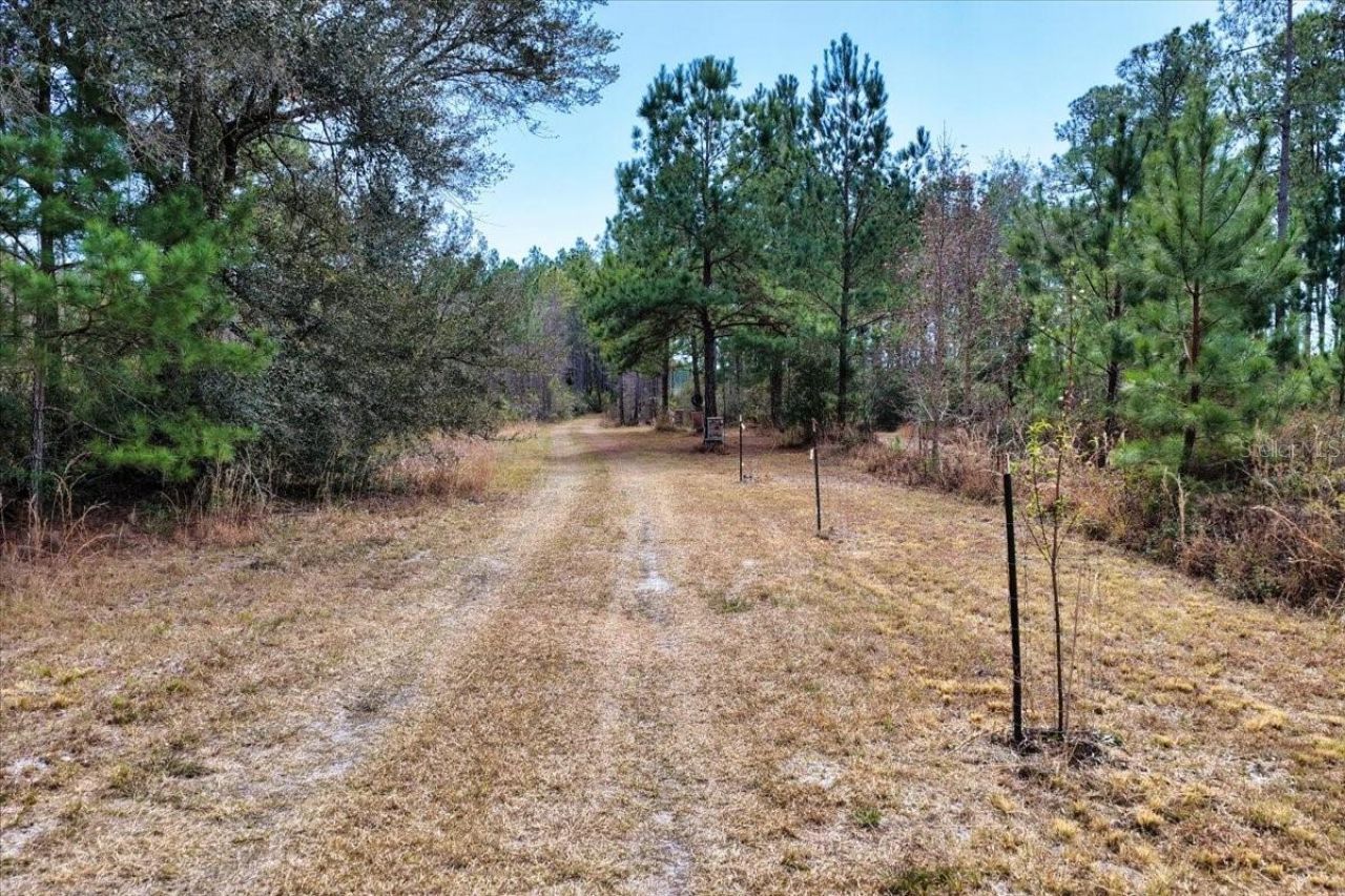 60 Acres NW Clyatt Road, Chiefland, FL 32626 Photo
