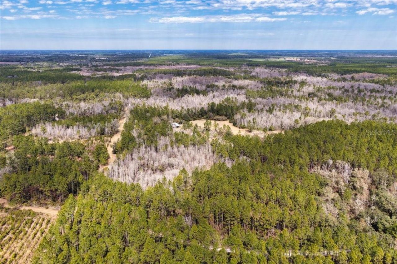 60 Acres NW Clyatt Road, Chiefland, FL 32626 Photo