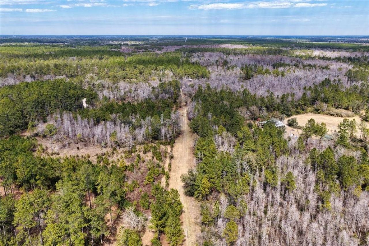 60 Acres NW Clyatt Road, Chiefland, FL 32626 Photo