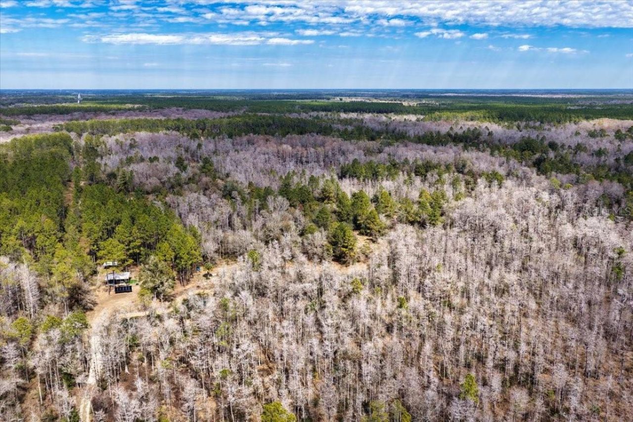 60 Acres NW Clyatt Road, Chiefland, FL 32626 Photo