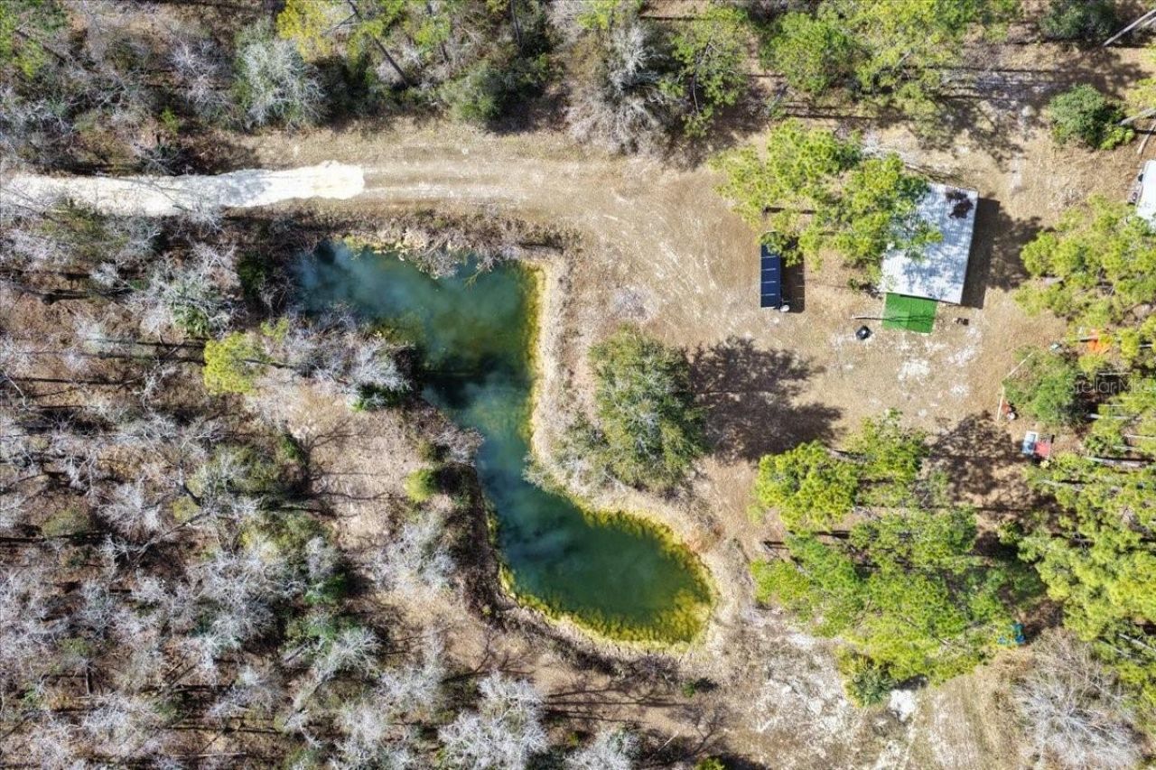 60 Acres NW Clyatt Road, Chiefland, FL 32626 Photo