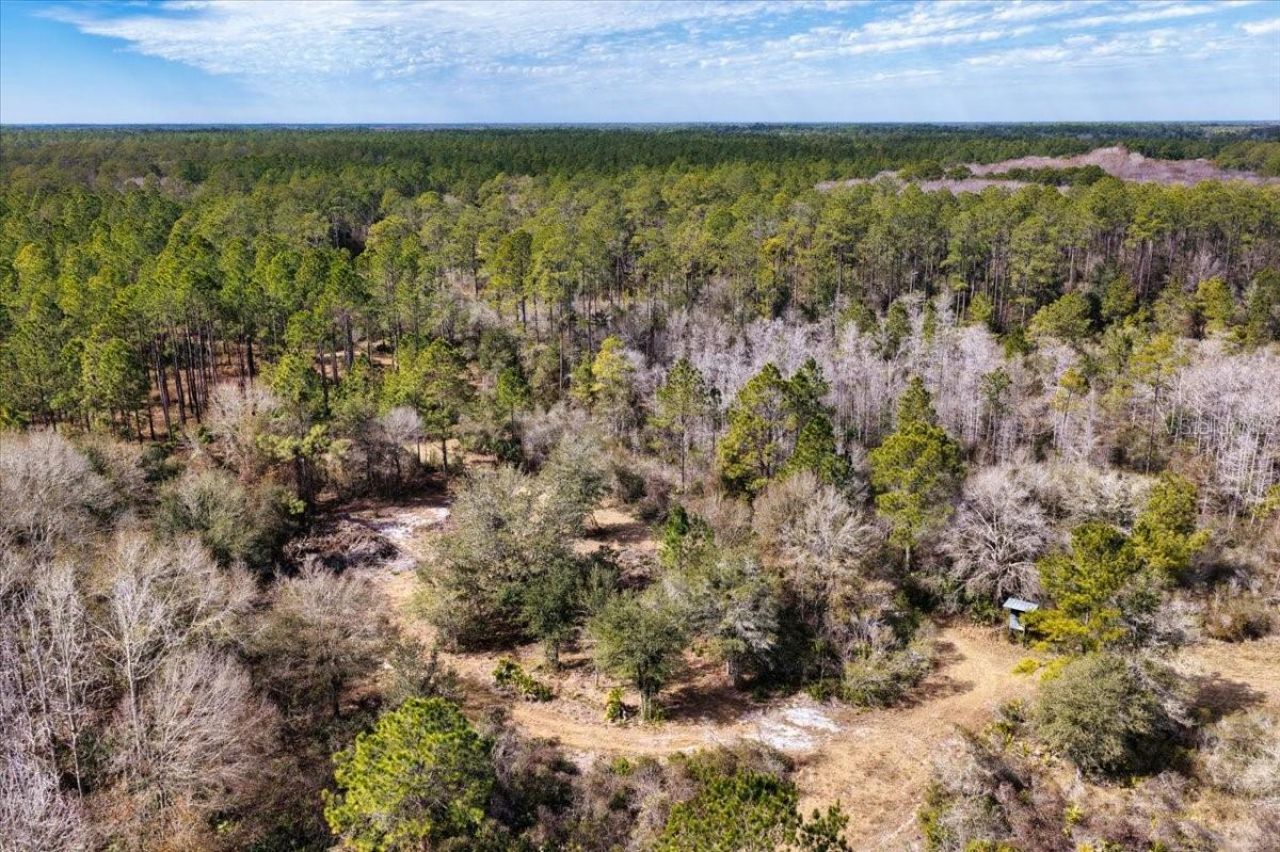 60 Acres NW Clyatt Road, Chiefland, FL 32626 Photo