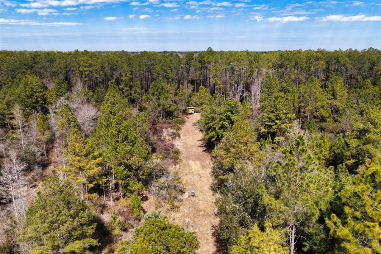 60 Acres NW Clyatt Road, Chiefland, FL 32626 Photo