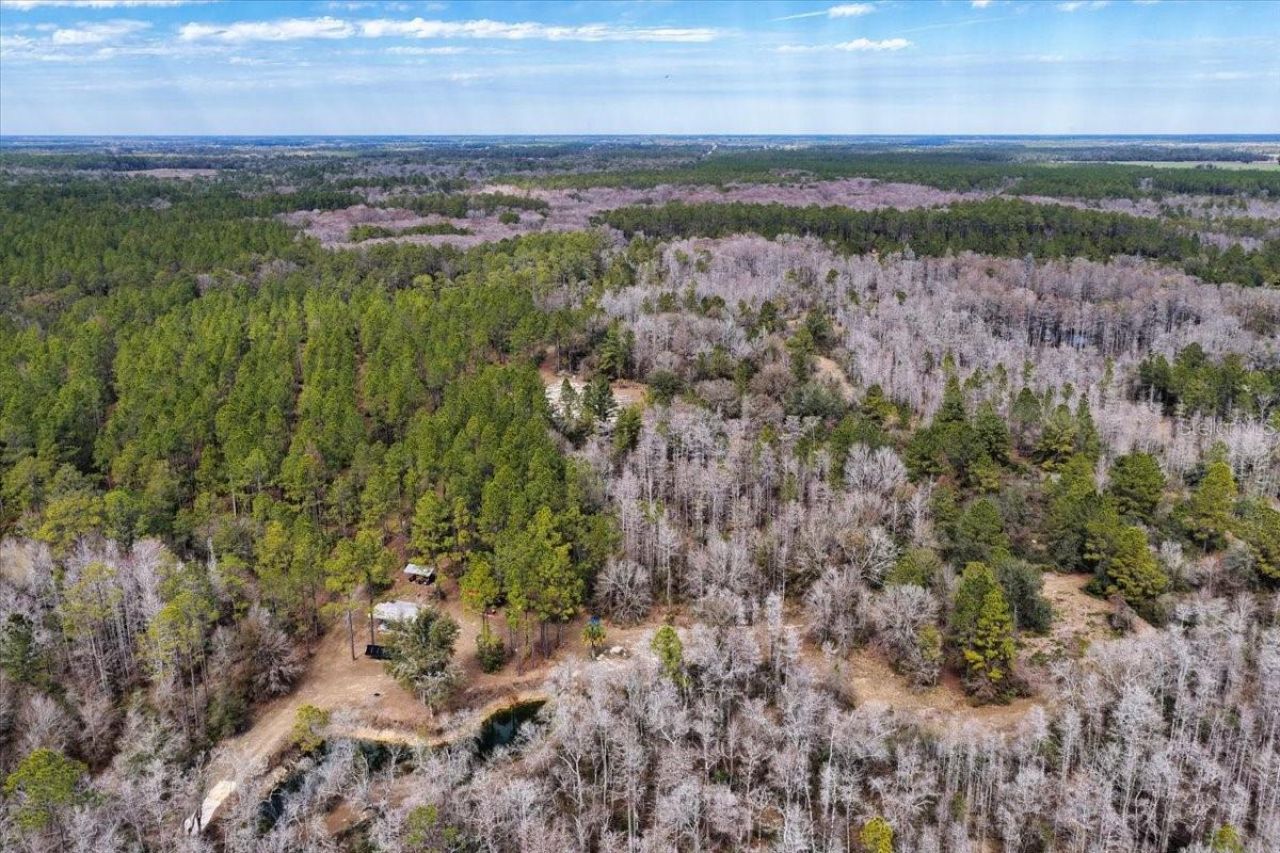 60 Acres NW Clyatt Road, Chiefland, FL 32626 Photo
