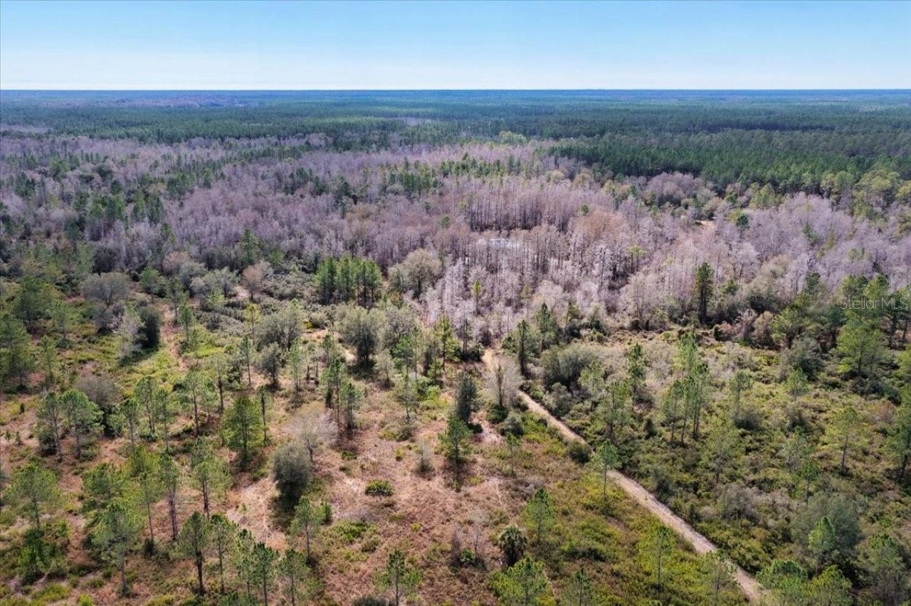 60 Acres NW Clyatt Road, Chiefland, FL 32626 Photo