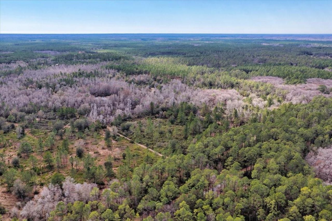 60 Acres NW Clyatt Road, Chiefland, FL 32626 Photo