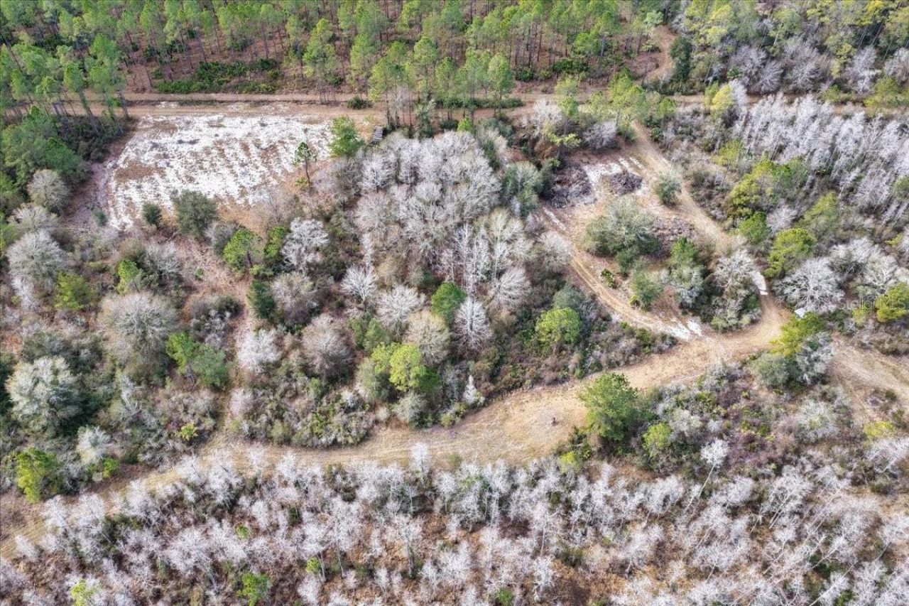 60 Acres NW Clyatt Road, Chiefland, FL 32626 Photo