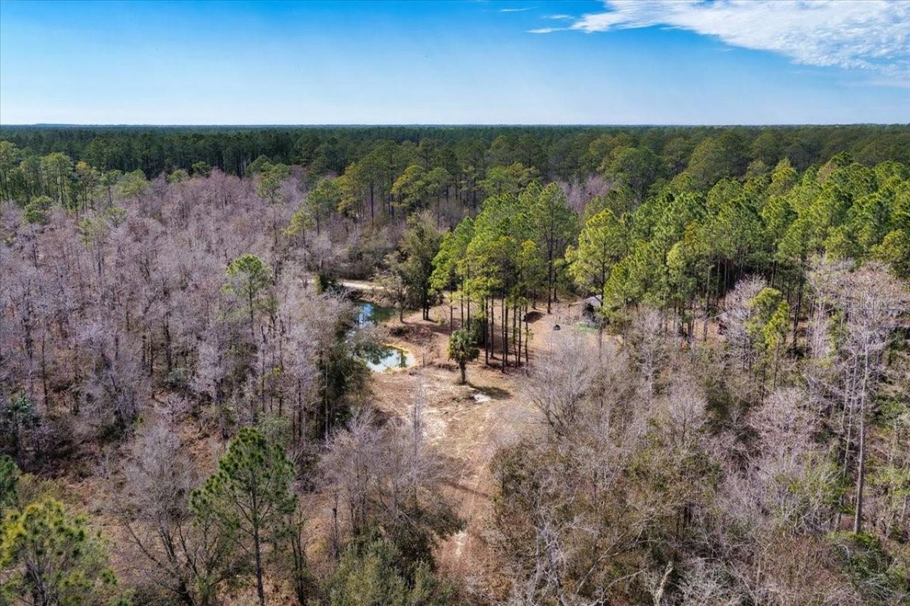 60 Acres NW Clyatt Road, Chiefland, FL 32626 Photo