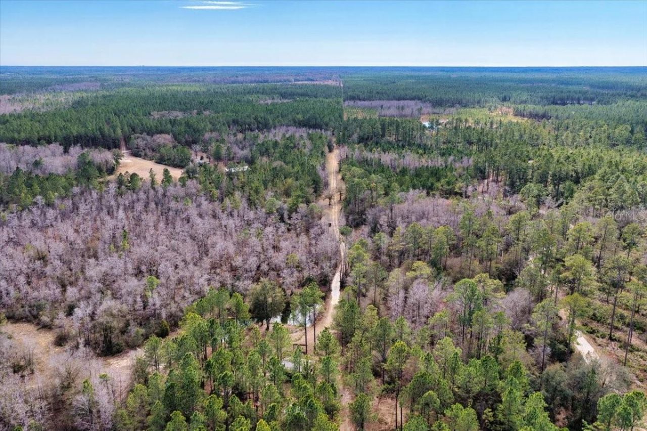 60 Acres NW Clyatt Road, Chiefland, FL 32626 Photo