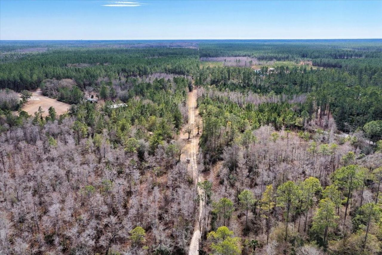 60 Acres NW Clyatt Road, Chiefland, FL 32626 Photo