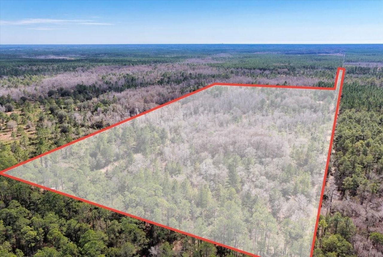 60 Acres NW Clyatt Road, Chiefland, FL 32626 Photo