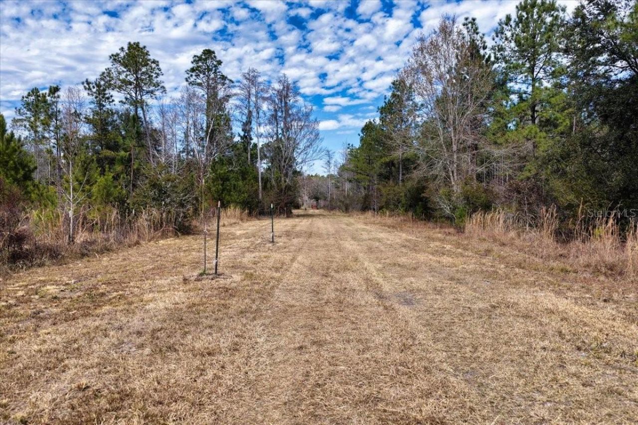 60 Acres NW Clyatt Road, Chiefland, FL 32626 Photo