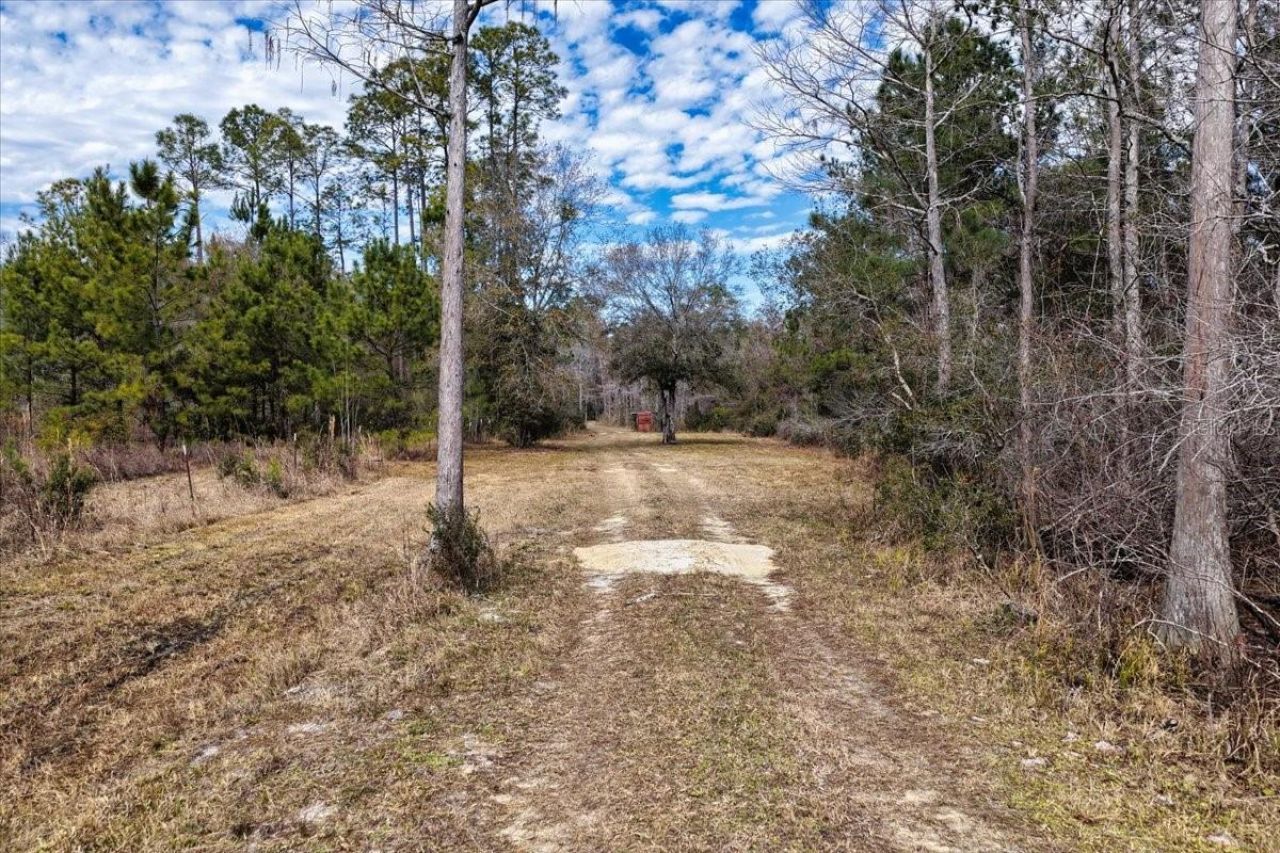 60 Acres NW Clyatt Road, Chiefland, FL 32626 Photo