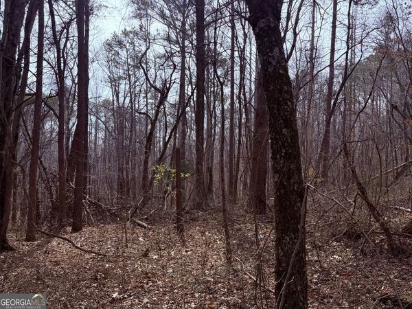 967 Old Highway 100, Waco, GA 30182