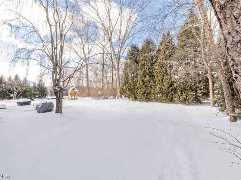 6442 Dorset Lane, Solon, OH 44139 Photo 41