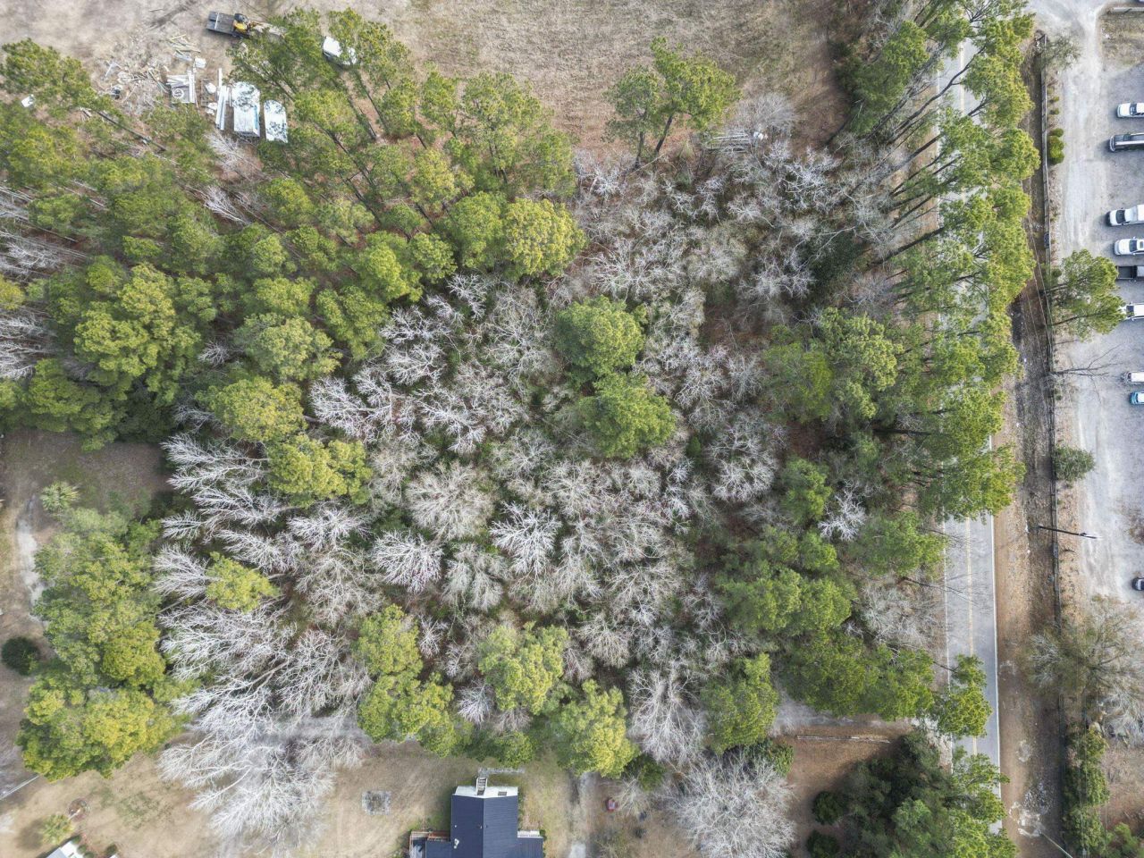 2352 Old Sanders Dr.  Photo 7