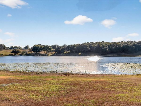 29714 SE HIGHWAY 42, UMATILLA, FL 32784