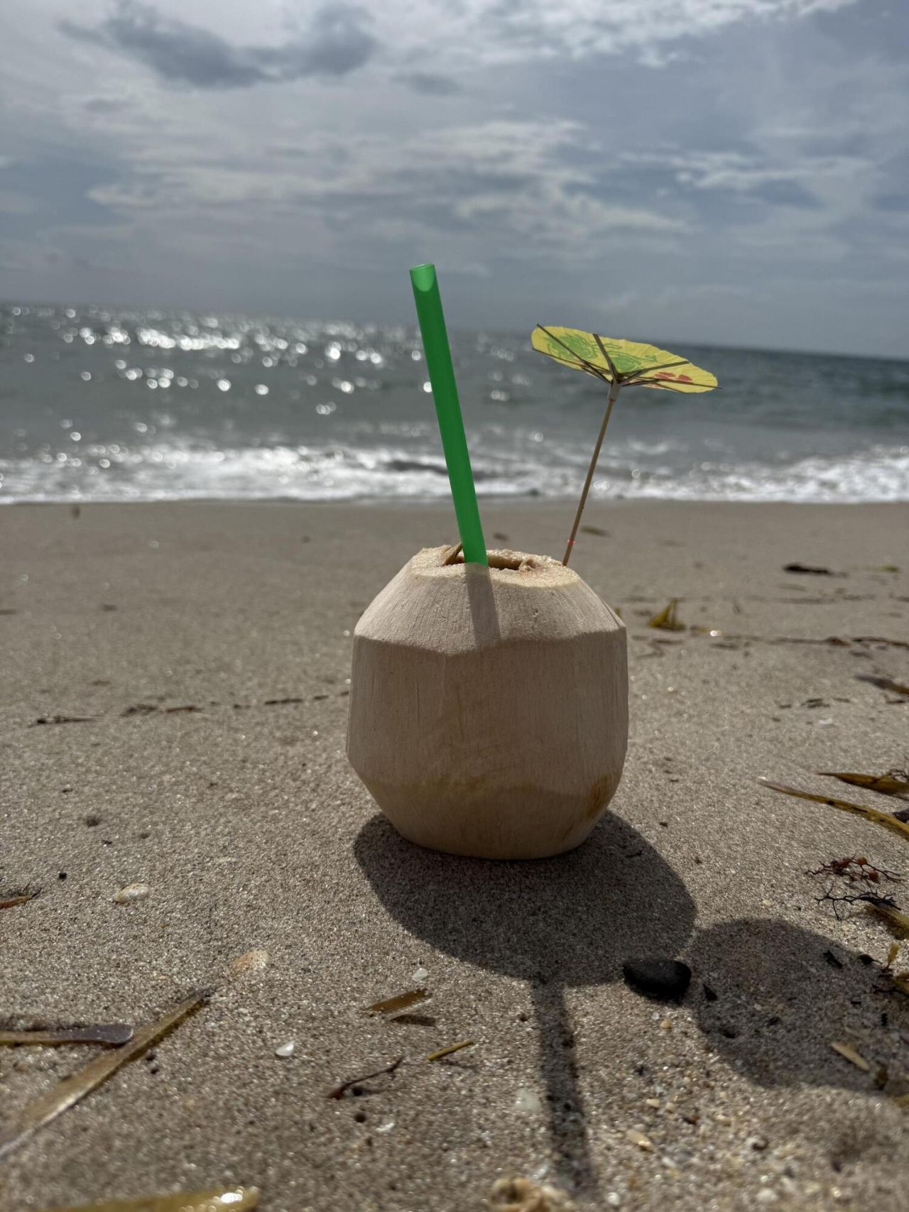 3680 NE 15th Terrace, Pompano Beach, FL 33064 Photo