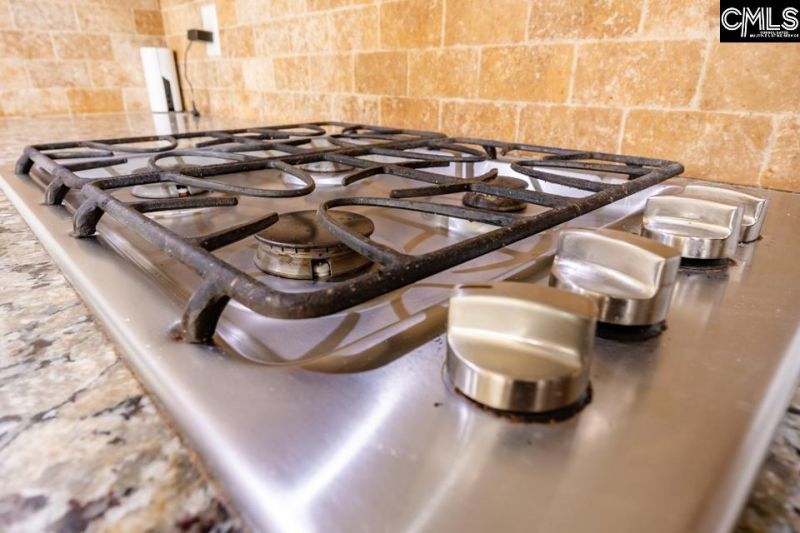 449 Reedy River Court Photo 12