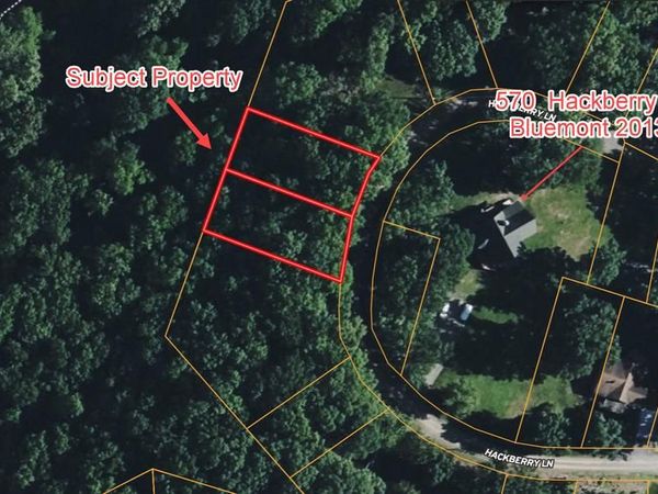 LOT 49 & Lot 50 HACKBERRY LN, BLUEMONT, VA 20135