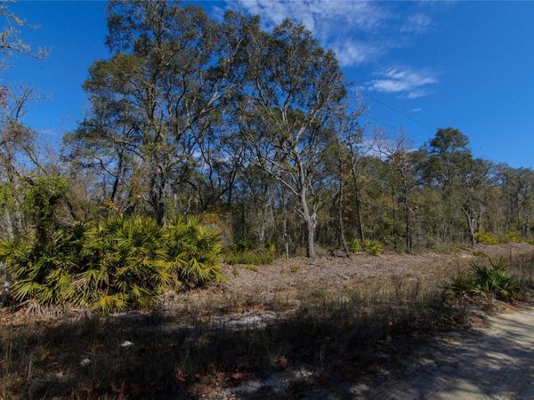 206 TALL PINE TRAIL, SATSUMA, FL 32189