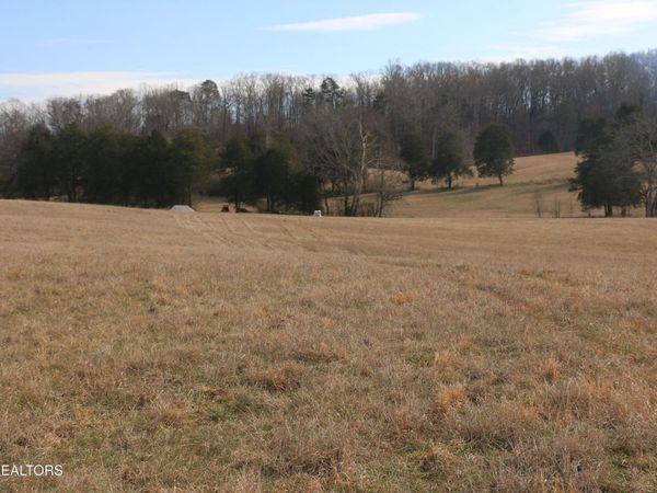 9.31 Acres Highway 39, Athens, TN 37303