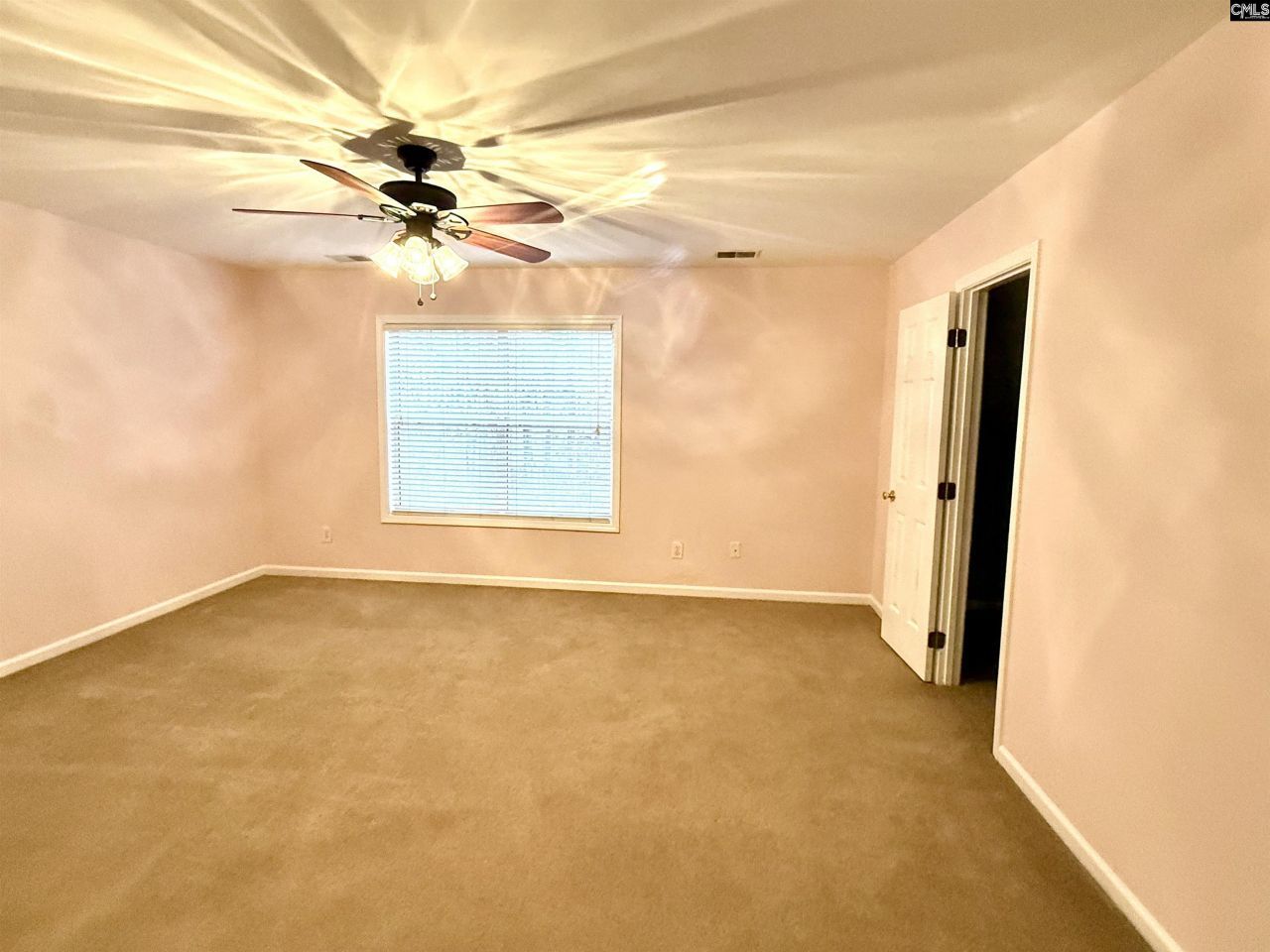 307 Bally Bunion Lane Photo 30