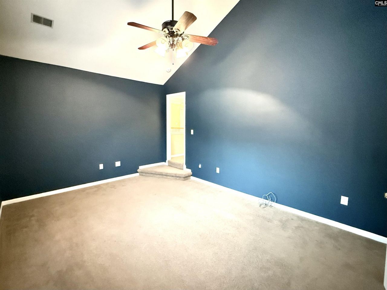 307 Bally Bunion Lane Photo 37