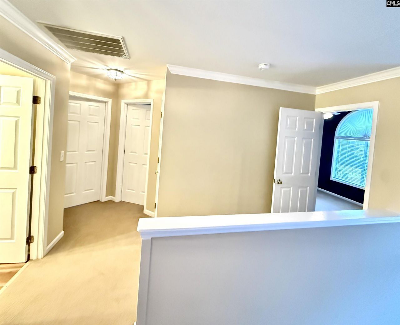 307 Bally Bunion Lane Photo 41