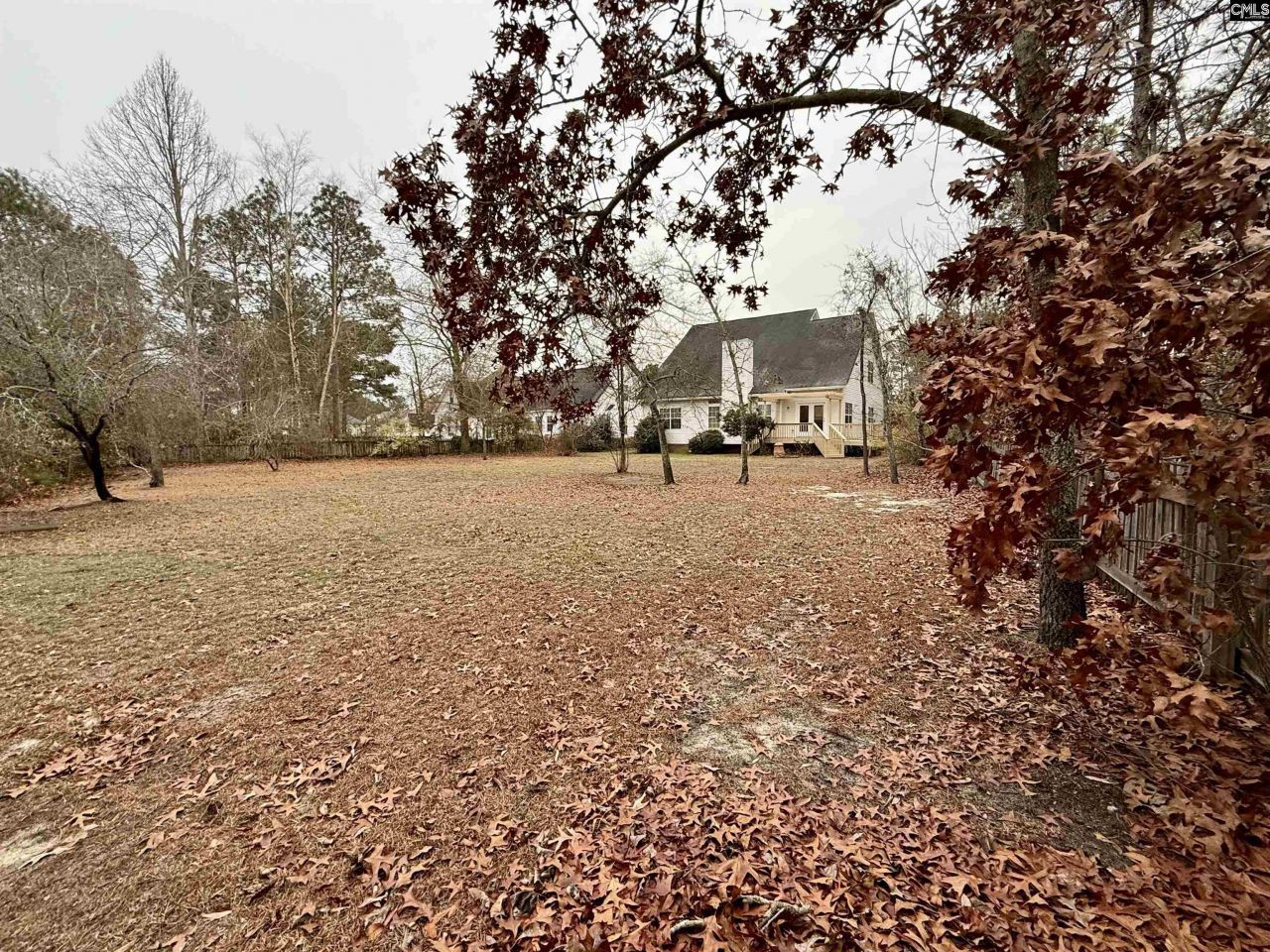 307 Bally Bunion Lane Photo 46