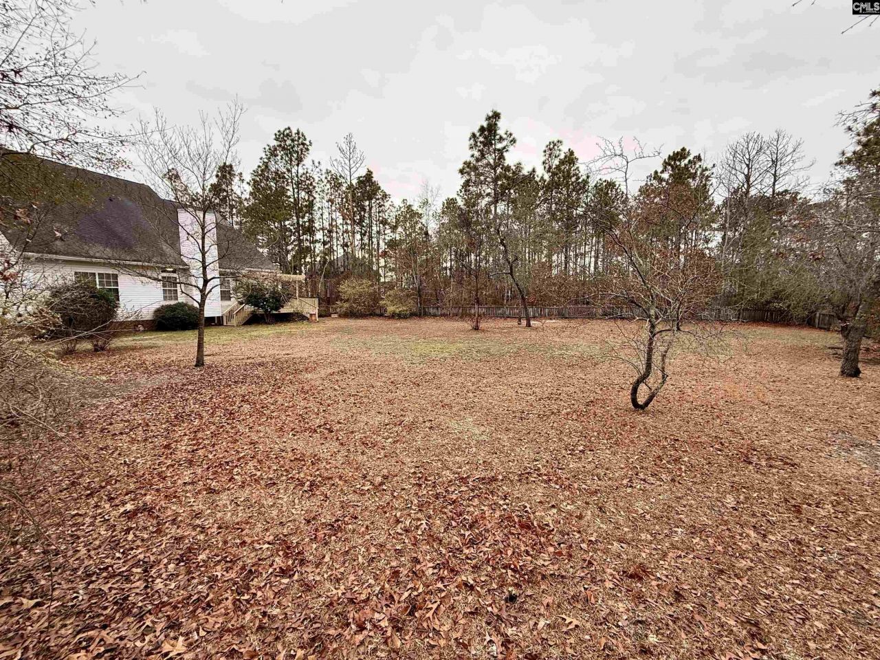 307 Bally Bunion Lane Photo 48