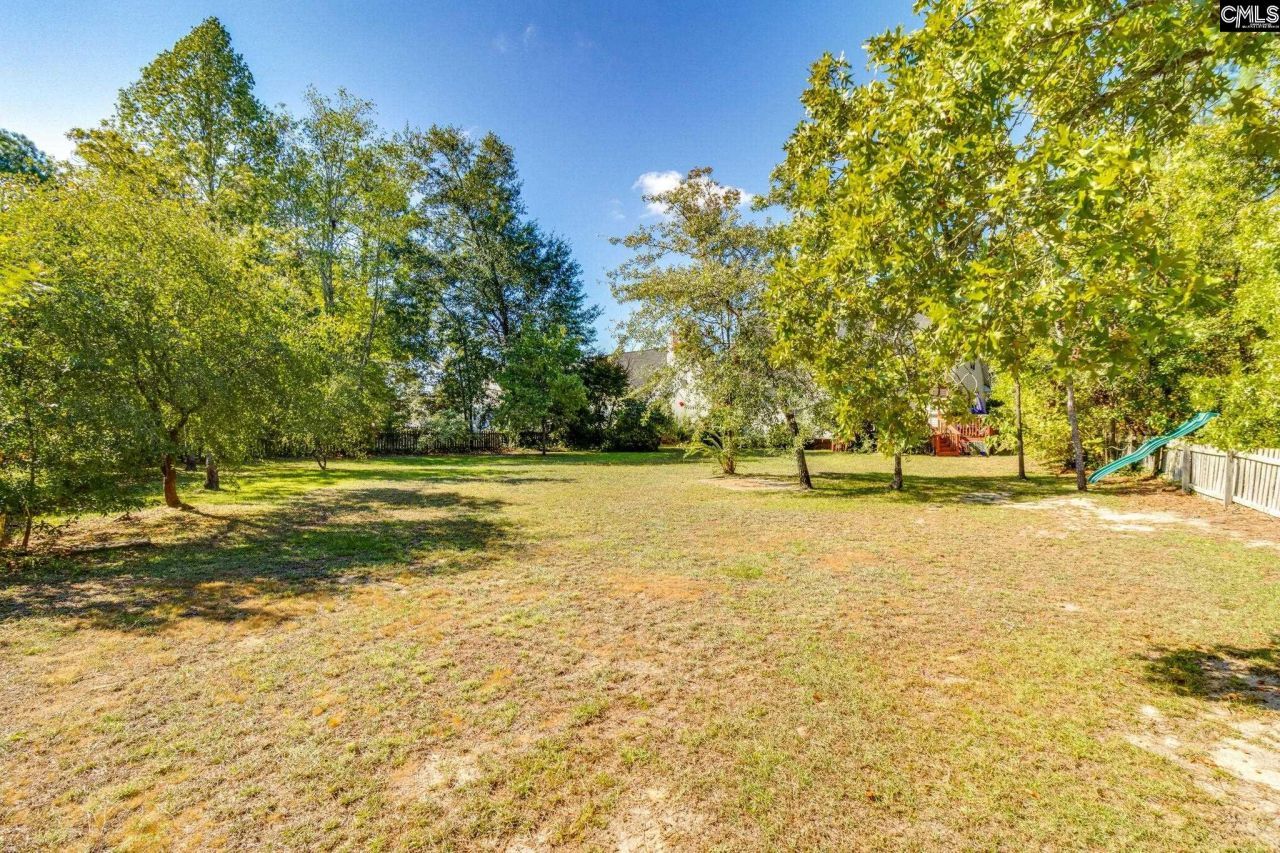 307 Bally Bunion Lane Photo 59