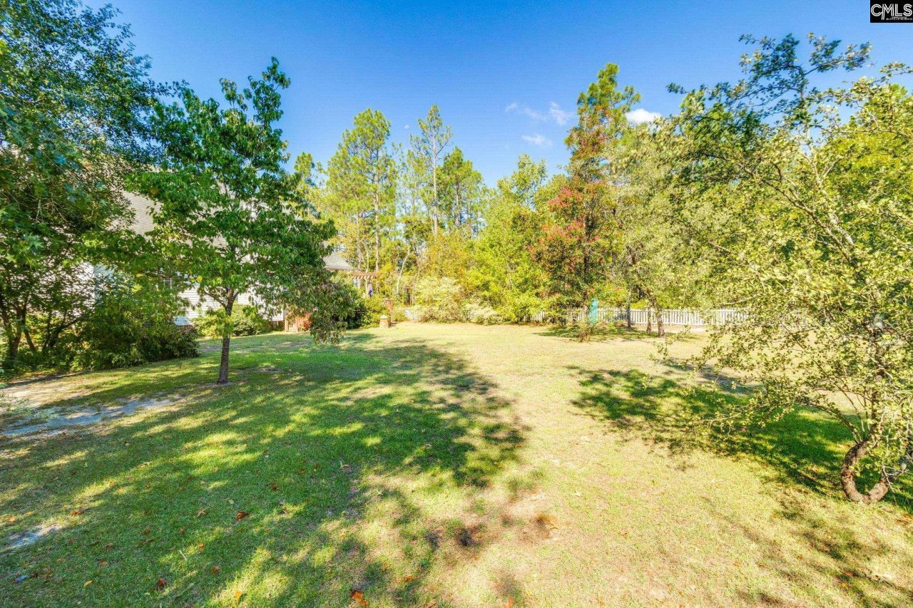 307 Bally Bunion Lane Photo 60