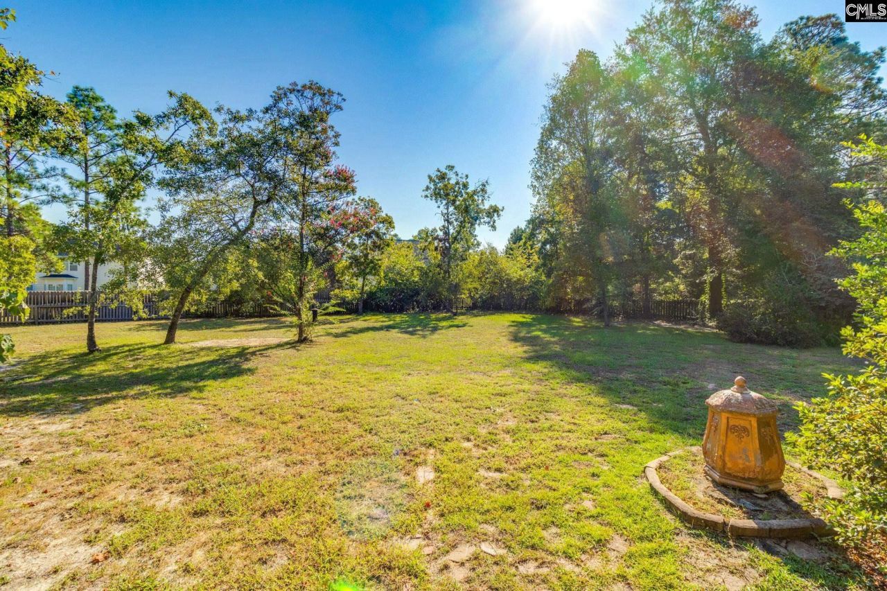 307 Bally Bunion Lane Photo 62