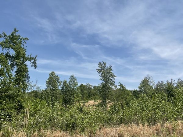0 Saddleback Drive, Dover, TN 37058