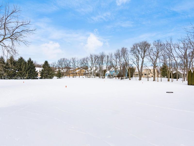 7487 Balfoure Circle, Dublin, OH 43017 Photo 58