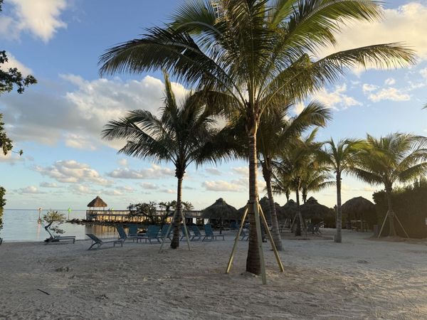 500 Burton Drive, Unit 3308, Tavernier, FL 33070