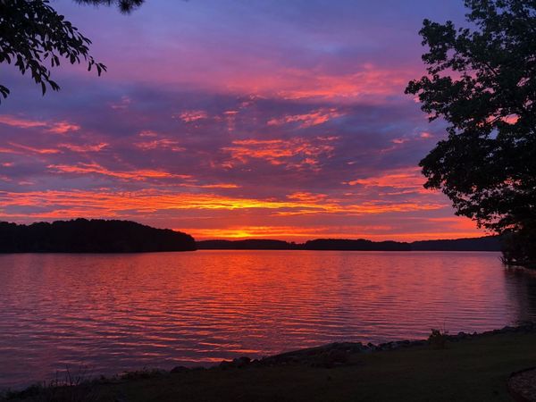 01 Lakefront Dr, Russellville, AL 35653