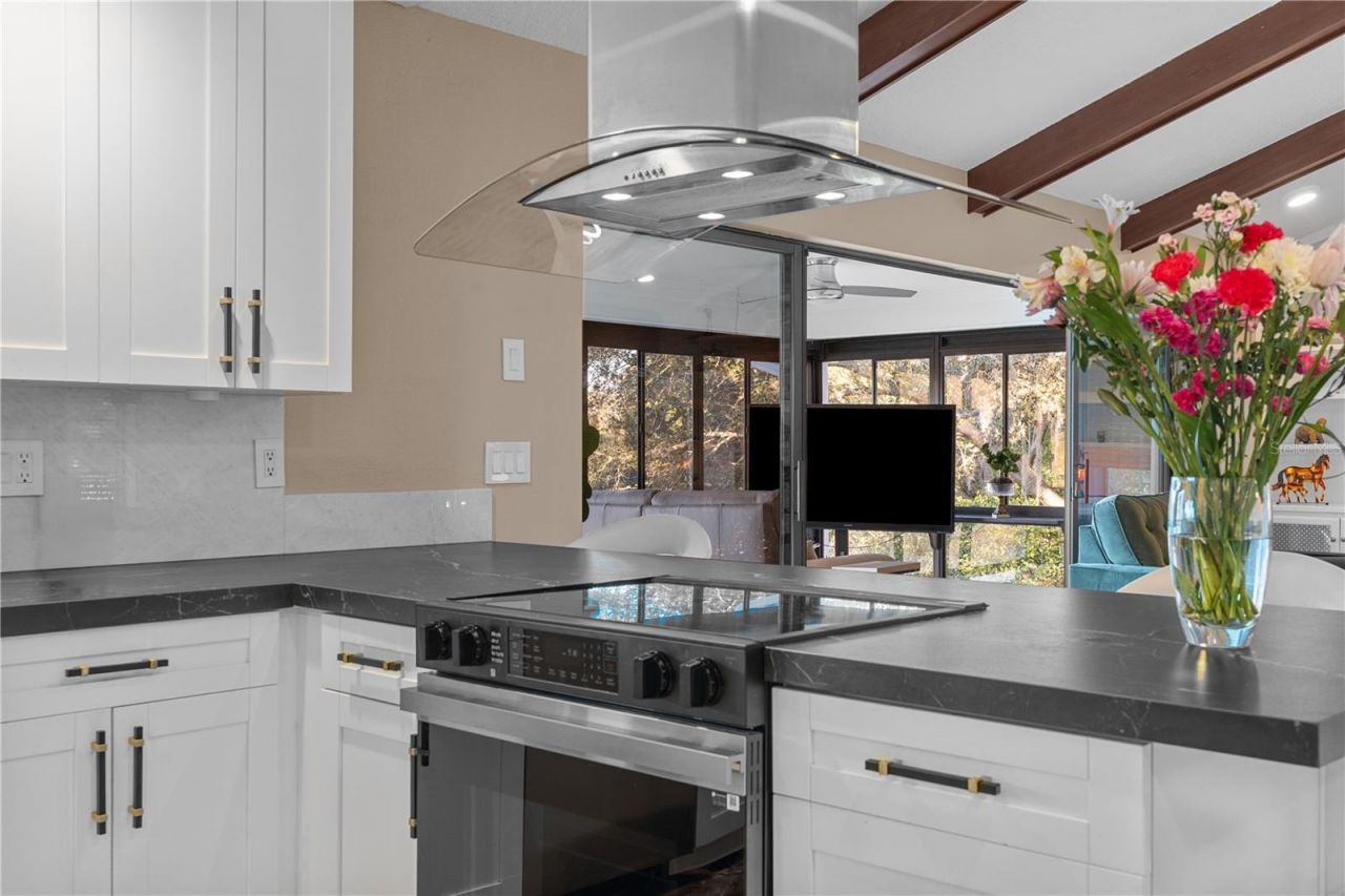 3105 S Lakeshore Court, Eustis, FL 32726 Photo