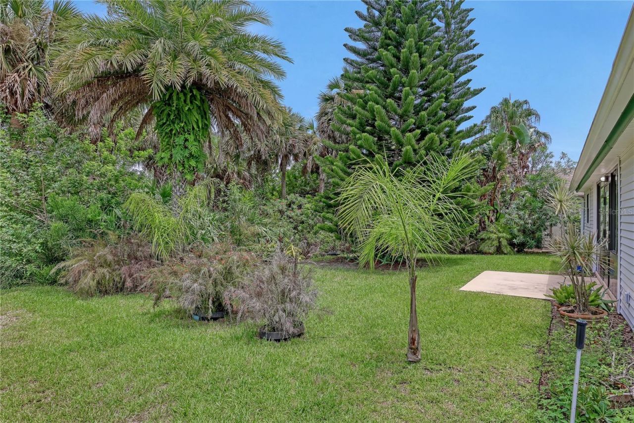 778 Pine Shores Circle, New Smyrna Beach, FL 32168 Photo