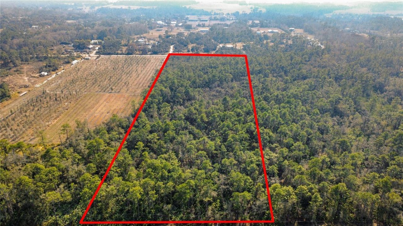 E Colonial Drive, Christmas, FL 32709 Photo