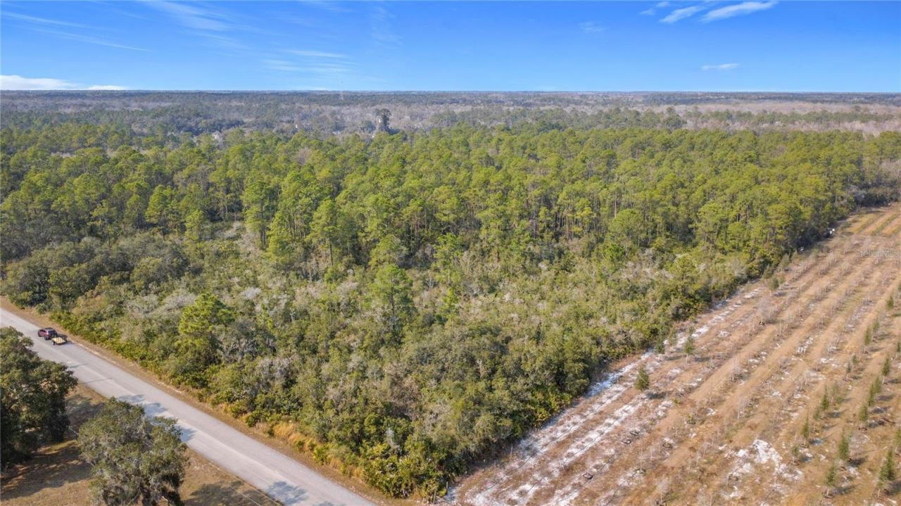 E Colonial Drive, Christmas, FL 32709 Photo