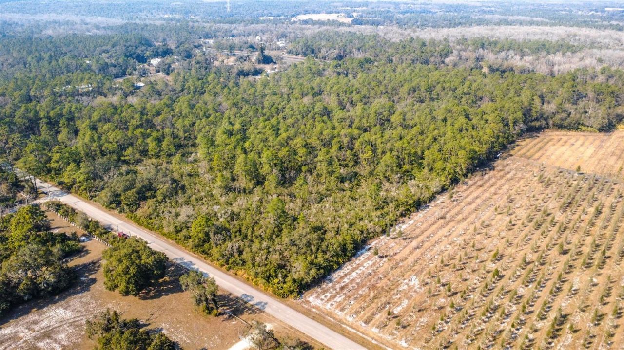 E Colonial Drive, Christmas, FL 32709 Photo