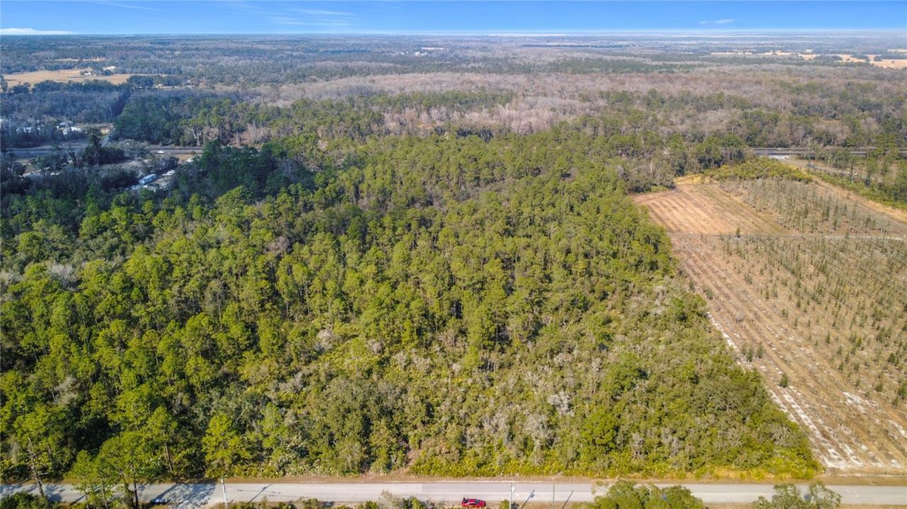 E Colonial Drive, Christmas, FL 32709 Photo