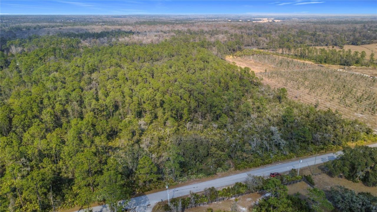 E Colonial Drive, Christmas, FL 32709 Photo