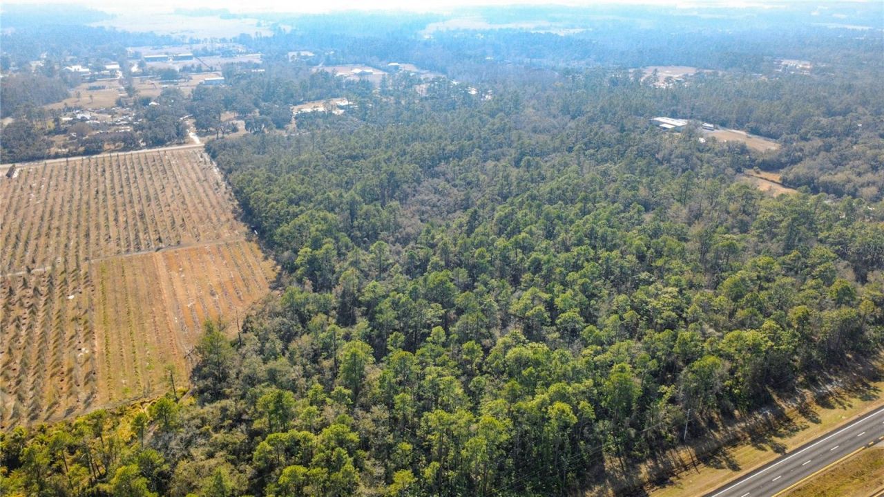 E Colonial Drive, Christmas, FL 32709 Photo