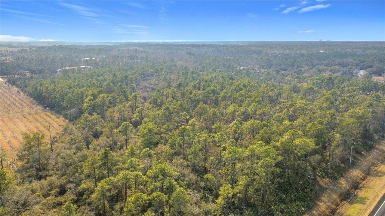 E Colonial Drive, Christmas, FL 32709 Photo