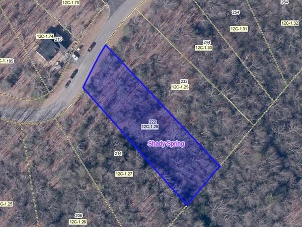 222 HIGHLANDS LN, DANIELS, WV 25832