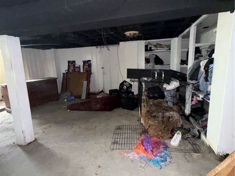 1445 E 172nd Street, Cleveland, OH 44110 Photo 15