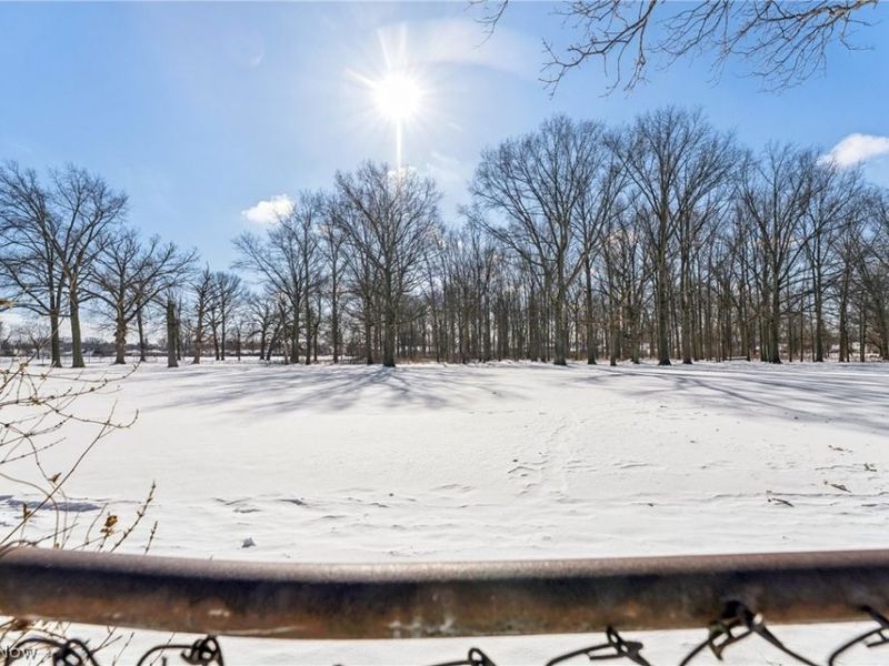 15719 Montrose Avenue, Cleveland, OH 44111 Photo 36